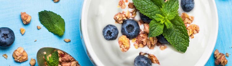 Bowl of yogurt topped with blueberries, granola, and mint leaves, representing cultured dairy solutions